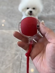 Pet Mainan Bola Tali Kucing Anjing / Pet Mainan Bola Listrik Bergulir Cerdas LED Kucing Anjing / Pet Mainan Interaktif Untuk Kucing / Pet Automatic Rolling Ball Rechargeable - BALLPET-TOY SHENARCORNER168