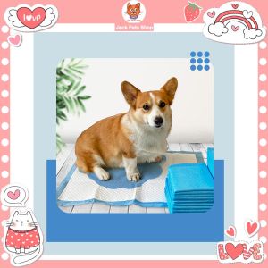 Dog Pee Pad & Pet Training: A Comprehensive Guide