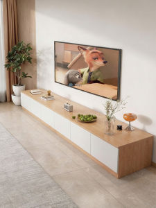 ZHUOHE | Modern Minimalist TV Stand Storage Cabinet