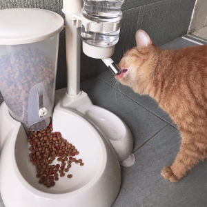 Automatic Cat Feeder Waterer Two-In-One Large Capacity Cats Food And Water Feeder Intelligent Pet Feeder System for Cats