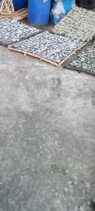 Khô Cá Lù Đù Mini Vị Mặn Vừa Ăn Sạch Ngon- VỰA KHÔ NÀNG TIÊN