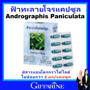 ของแท้ กิฟฟารีน ฟ้าทะลายโจร giffarine ฟ้าทะลายโจร สูตรเดิม 8 มก.แคปซูล บดหยาบ บรรเทาอาการไอ ป้องกันหวัด ไข้ เจ็บคอ เสริมภูมิ อาการอักเสบ ยาสามัญประจำบ้าน สมุนไพร ปลอดภัย มาตรฐาน GMP ผ่าน อย.ส่งฟรี