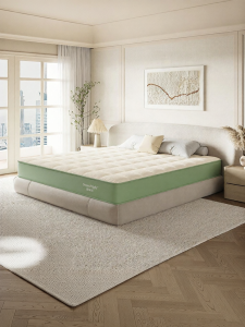 Spring Structure Spinal Support Washable Mattress