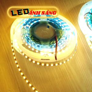 COMBO 5 CUỘN LED DÂY DÁN 12V - 120 LED/MÉT TRẮNG - VÀNG - TRUNG TÍNH