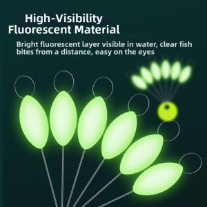 DONGZHIHUI | Luminous Color-Changing Bright Fish Float