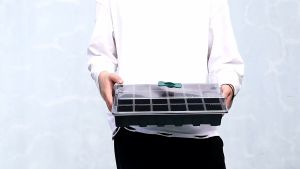 12 hole seedling box three-piece set plastic transparent 3-in-1 seedling tray sowing insert box succulent pot