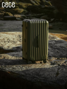cece | Lightweight Framed Suitcase
