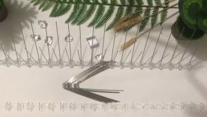 50CM  Bird Repellent Mat Spikes Arrow Pigeon Spikes S/Steel Animal Repeller Chase Birds Device Dashboard Penghalang Burung Besi Taja