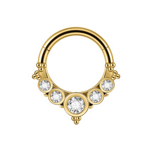 1PC 316L Surgical Steel Vine Skull Cone CZ Paved Cubic Zirconia Hoop Earrings Septum Nose Ear Daith Tragus Stud Gold/Silver