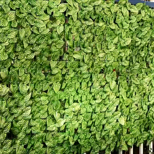 BHQ 0.5*1M Artificial Wall Grass Hedge Privacy Screen Leave Faux Wall Garden Fence Pagar Rumput Hiasan
