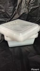 THINWALL DM/ KOTAK PLASTIK JUMBO 3600ML DAN 4000 ML ISI 10 SET