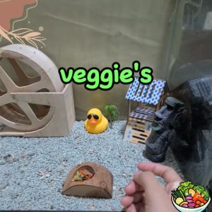 Hamtoro Veggie Blend Snack Makanan Kelinci Marmut Hamster Sehat Tinggi Serat