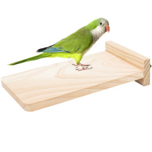 Bird Perch platform flat Stand Beak Paw Grinding wood for Parrot Parakeet Cockatiel Lovebird Conure Finch Budgie