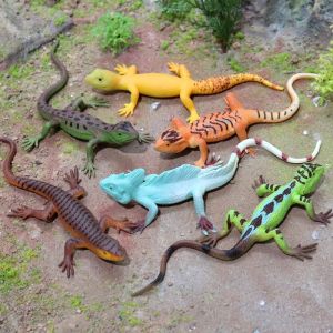 Squeeze Stress Relief Soft Rubber Lizard Toy