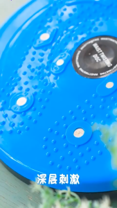 ☀️Life Core☀️ Waist Twister Wriggling Magnet with Rope Waist Twisting Plate Slim Waist Exercise Foot Massage Disc Massage Home Exercise Fitness Twist Waist Plate Beauty Waist Fitness Magnetic Twister Healthy Foot Massage Board With Magnetic Alat Senaman P