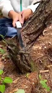 Folding Hand Saw Multifunctional Outdoor Logging Saw Woodworking Folding Portable Saw For Garden Pruner Gardening Tools Tree