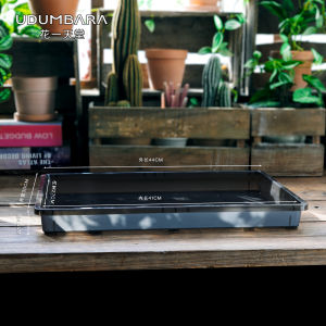 Udumbara Grey Semi-Transparent Flower Pot 7cm Square Succulent Plant Tray Drip Tray Greenhouse Simple Style Desktop Decor