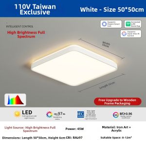 DENGJIAN | Smart Ceiling Light
