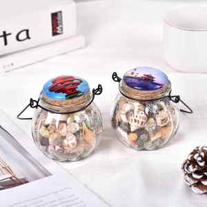ciiemen | Natural Shell Seashell Ornament Pumpkin Vase