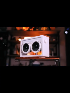 ลำโพงบลูทูธโปร่งใส Jayine Audio ลำโพงมินิไร้สายแบบพกพาสำหรับกลางแจ้ง