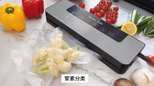 Vacuum Sealer Machine Heavy Duty Automatic Food Sealer Packaging Sealing Machine Fresh Food Saver 真空机 封口机