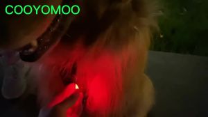 LED Glowing Pendant Flashlight Dog Cat CollarLeads Glow Accessories Bright Necklace Luminous Collar Night Safety Decor