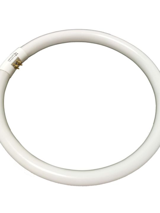 T5/T6 Circular Tube 22W 32W 40W Ceiling Light round White Light 28W Fluorescent Lamp Home Decor Lighting Source Other Sources