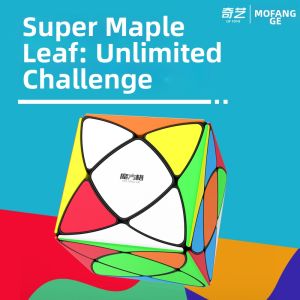 QY TOYS | Competition Leaf Shaped Puzzle for Beginners