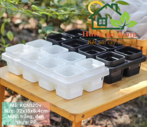 KCN8OV - khay chữ nhật 8 ô vuông dùng chứa chậu từ 6cm - 7cm trồng sen đá xương rồng tiện di dời( không kèm chậu)