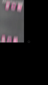 ฝาครอบปุ่มสวิชท์ Lambretta X200 X250 X300 (1ชุดมี6ชิ้น) พร้อมส่งในไทย