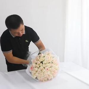 [20 LEMBAR] Sydney Paper Tissue Wrapping Polos 50x70cm Kertas Doorslag Tipis Bahan Buket Bunga Korean Style Ala Florist Korea - WP082