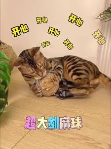 8CM Interactive Sisal Cat Scratching Ball Super Big Anti-Bite Teething Toy with Sound for Kittens Pet Supplies
