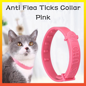 Pet Anti Flea Collar Pet Flea Removal Collar Prevent Tick Bites Cat Specific Collar Cat Specific Collar Purifying Body Odor Collar 猫咪除蚤项圈