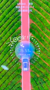 YIZHI ชุดสายชาร์จ 65W OPPO Super VOOC แท้ สายชาร์จ+ หัวชาร์จเร็ว ชุดชาร์จ Type-C หัวชาร์จของแท้ realme Fast Charging charger รองรับ OPPO รุ่นReno7/Reno6/Reno5/Reno4/Reno3 pro/Reno2F/Reno x10 รับประกัน1ปี