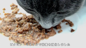 (100% Real Fish) Japan NaturaHa Grain-Free Kitten Cat Wet Food 60g - 6 Flavors No Preservatives Makanan Kucing Basah