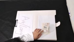 2In1 Expanding File Folder With Clipboard Paper Organizer 8 Pockets Organ Bag Clip Board Long Size 2Pcs 38x48.5cm