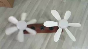 Modern Ceiling Fan Light Dimmable Fan and Light Combo Ceiling Fans with Bulb Lights and Remote Controler for Indoor Decoration