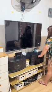 Bifresh-Bathroom Air Freshener Fragrance Diffuser Aromatherapy Oil For Room Biresh Repels Insects