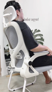 Ergonomics Chair Breathable Mesh Office Chair Computer Chair High Back Chair Korean Chair Comfort Gaming Chair with Lumbar Support