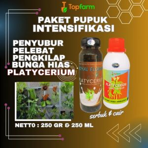 Pupuk Platycerium Ridleyi / Pupuk Platycerium Cair / Pupuk Penyubur Daun Tanaman Hias / Pupuk Cair Tanaman Hias / Pupuk Platycerium