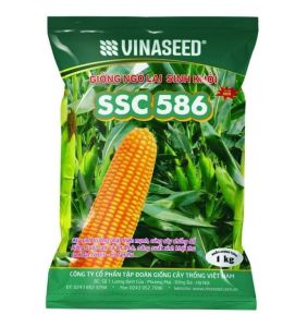 Hạt giống ngô sinh khối lớn SSC 586 gói 1kg