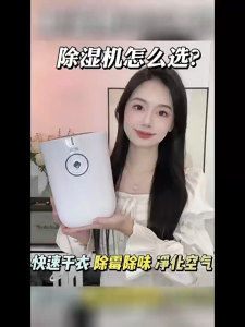 Mini Home Dehumidifiers Reduce Excess Moisture in the Air / Quiet Dehumidifiers and Small Home Air Dryers Suitable for Bedrooms  penyahlembap 除濕機