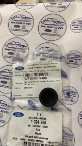 Nắp Chụp Ốc Cần Gạt Mưa Trước Ford EcoSport Fiesta Chính Hãng Nắp Đậy Ốc Tay Gạt Mưa Trước