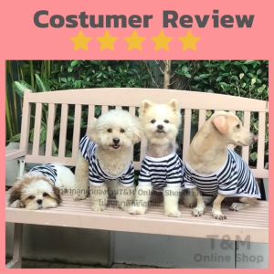 เสื้อสัตว์เลี้ยง ส่งในไทย เสื้อสุนัข เสื้อแมว ลายขวาง ใส่นอนแอร์ เป็นเครื่องคอมพิวเตอร์ สมบูรณ์ ราคาเข้าได้