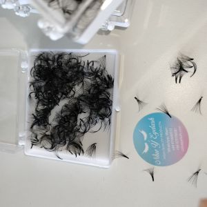MI FAN SẴN 10D - ĐỘ DÀY 0.05 - ĐỘ CONG B C CC D I J U MI SIÊU RẺ SIÊU ĐẸP HỘP 500 FANCHẤT MI ĐEN  MỀM DỄ BẮT KEO CHÂN SIÊU NHỎ- DỤNG CỤ NỐI  MI