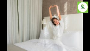 🔥ลดปวด 100% พิเศษ โดยที่นอนยางพาราแท้ Soft Toper ท็อปเปอร์ รุ่น ราคาประหยัด