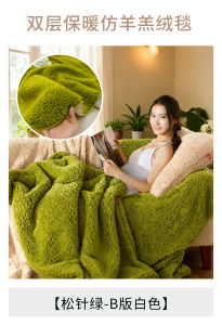 Extra Thick Double Layer Winter Blanket for Students Dormitory Special Use Warm Fluffy Polyester Fiber Coralline Velvet Blanket