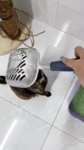 xẻng xúc cát siêu bền dành cho mèo  - T3 PETS SHOP