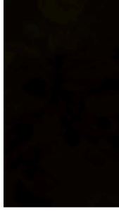 Paket Balon Latex Ulang tahun Pastel Mix Warna Biru Ungu Pink Ungu Kuning isi 30pcs