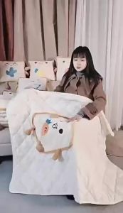 Dual Use Embroidered Pillow 2-in-1 Bed Office Car Cushion